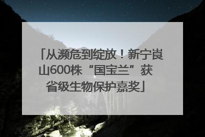 从濒危到绽放！新宁崀山600株“国宝兰”获省级生物保护嘉奖