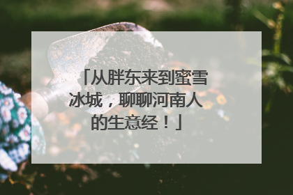 从胖东来到蜜雪冰城，聊聊河南人的生意经！