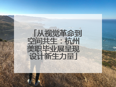 从视觉革命到空间共生：杭州美职毕业展呈现设计新生力量