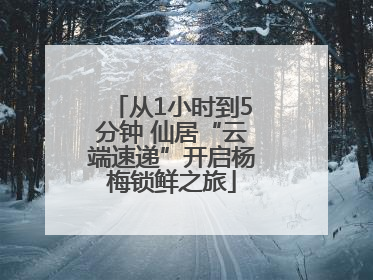 从1小时到5分钟 仙居“云端速递”开启杨梅锁鲜之旅