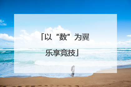 以“数”为翼 乐享竞技