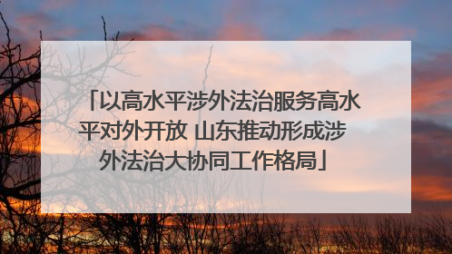以高水平涉外法治服务高水平对外开放 山东推动形成涉外法治大协同工作格局