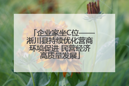 企业家坐C位——淅川县持续优化营商环境促进 民营经济高质量发展