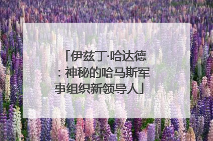伊兹丁·哈达德：神秘的哈马斯军事组织新领导人