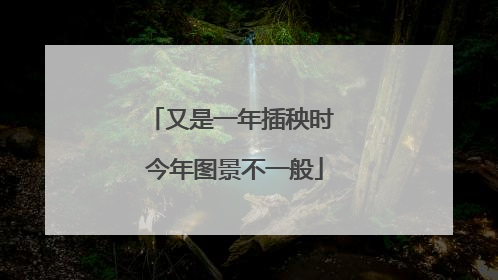 又是一年插秧时 今年图景不一般