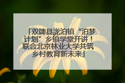 双牌县泷泊镇“泊梦计划”乡镇学堂开讲！联合北京林业大学共筑乡村教育新未来