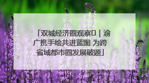 双城经济圈观察㊺｜渝广携手绘共进蓝图 为跨省域都市圈发展破题