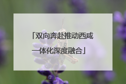 双向奔赴推动西咸一体化深度融合