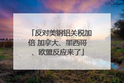 反对美钢铝关税加倍 加拿大、墨西哥、欧盟反应来了