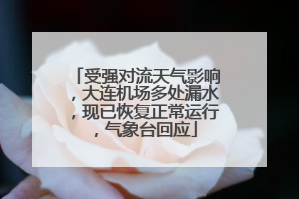 受强对流天气影响，大连机场多处漏水，现已恢复正常运行，气象台回应