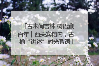 古木阅吉林 树语藏百年｜西关宾馆内，古榆“讲述”时光絮语