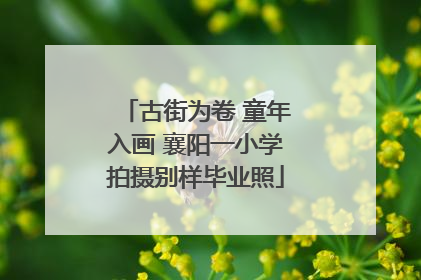 古街为卷 童年入画 襄阳一小学拍摄别样毕业照