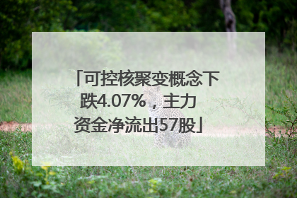可控核聚变概念下跌4.07%，主力资金净流出57股