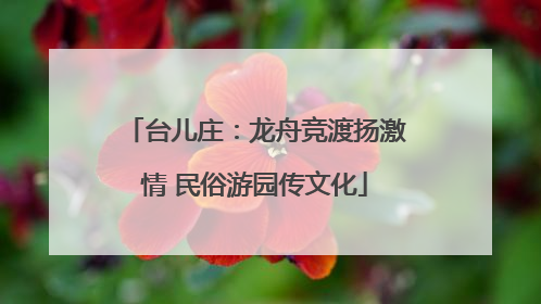 台儿庄：龙舟竞渡扬激情 民俗游园传文化