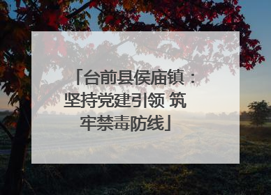 台前县侯庙镇：坚持党建引领 筑牢禁毒防线