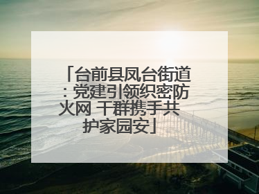 台前县凤台街道：党建引领织密防火网 干群携手共护家园安