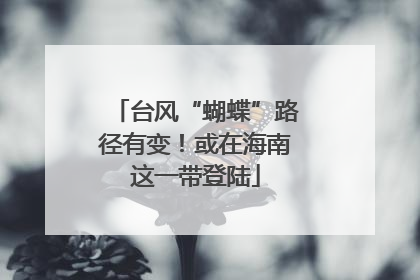 台风“蝴蝶”路径有变！或在海南这一带登陆