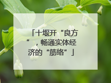 十堰开“良方”，畅通实体经济的“筋络”