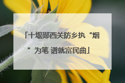 十堰郧西关防乡执“烟”为笔 谱就富民曲