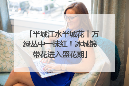 半城江水半城花丨万绿丛中一抹红！冰城锦带花进入盛花期