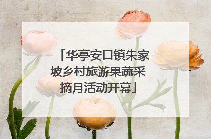 华亭安口镇朱家坡乡村旅游果蔬采摘月活动开幕