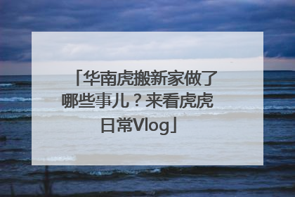 华南虎搬新家做了哪些事儿？来看虎虎日常Vlog