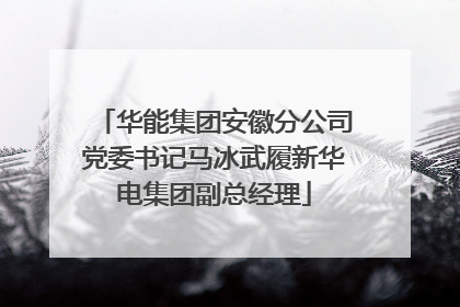 华能集团安徽分公司党委书记马冰武履新华电集团副总经理