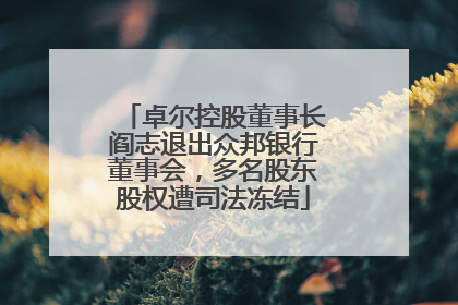 卓尔控股董事长阎志退出众邦银行董事会，多名股东股权遭司法冻结