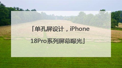单孔屏设计，iPhone18Pro系列屏幕曝光