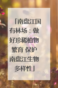 南盘江国有林场：做好珍稀植物繁育 保护南盘江生物多样性