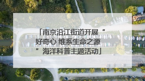 南京沿江街道开展“好奇心 维系生命之源”海洋科普主题活动