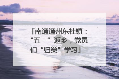 南通通州东社镇：“五一”返乡，党员们“归巢”学习
