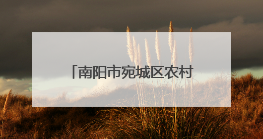 南阳市宛城区农村信用社开展信用记录关爱日宣传活动