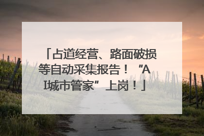 占道经营、路面破损等自动采集报告！“AI城市管家”上岗！