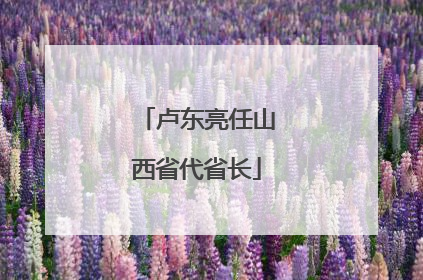 卢东亮任山西省代省长