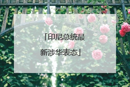 印尼总统最新涉华表态