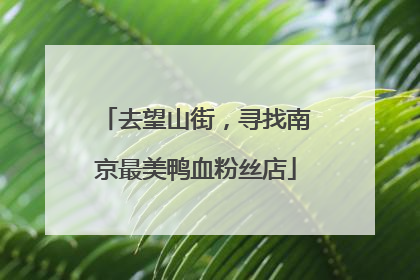 去望山街，寻找南京最美鸭血粉丝店