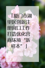 厦门市湖里区创新注册窗口工作打造优化营商环境“新样本”