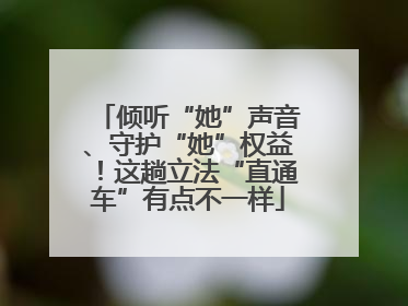 倾听“她”声音、守护“她”权益！这趟立法“直通车”有点不一样