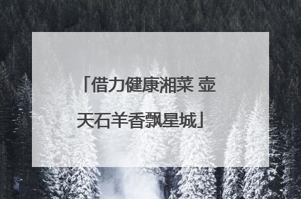 借力健康湘菜 壶天石羊香飘星城
