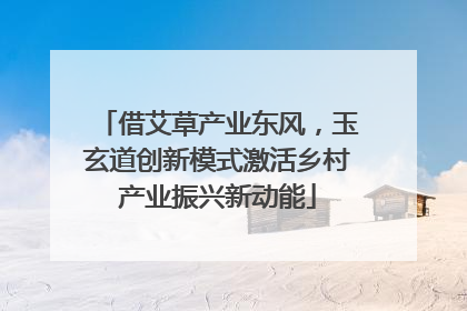 借艾草产业东风，玉玄道创新模式激活乡村产业振兴新动能