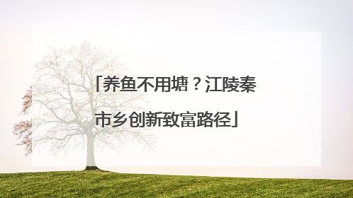养鱼不用塘？江陵秦市乡创新致富路径
