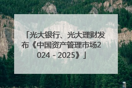 光大银行、光大理财发布《中国资产管理市场2024－2025》