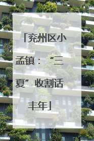 兖州区小孟镇：“三夏”收割话丰年