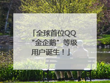 全球首位QQ“金企鹅”等级用户诞生！