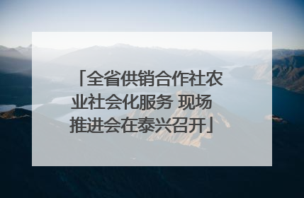 全省供销合作社农业社会化服务 现场推进会在泰兴召开