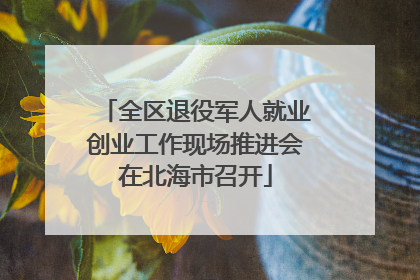 全区退役军人就业创业工作现场推进会在北海市召开