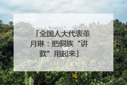 全国人大代表董月琳：把侗族“讲款”用起来