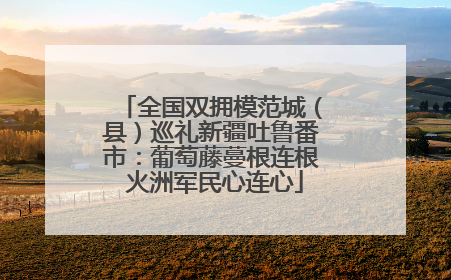 全国双拥模范城（县）巡礼新疆吐鲁番市：葡萄藤蔓根连根 火洲军民心连心