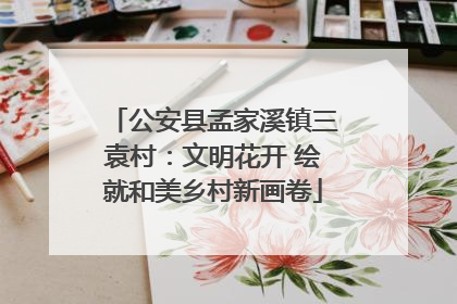 公安县孟家溪镇三袁村：文明花开 绘就和美乡村新画卷